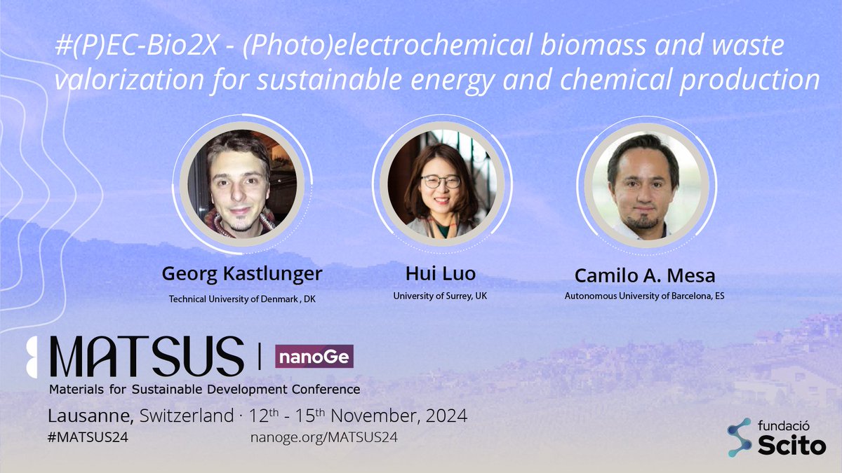 🟣Advance to net-zero #CircularEconomy via atomistic theory, #Electrochemistry, #Spectroscopy, materials synthesis and #TechnoeconomicAnalysis at #MATSUS24 @nanoGe_Conf 📍Lausanne, Switzerland 🗓️12th-15th November 2024 🔗Submit an oral abstract: nanoge.org/MATSUSFall24/h…