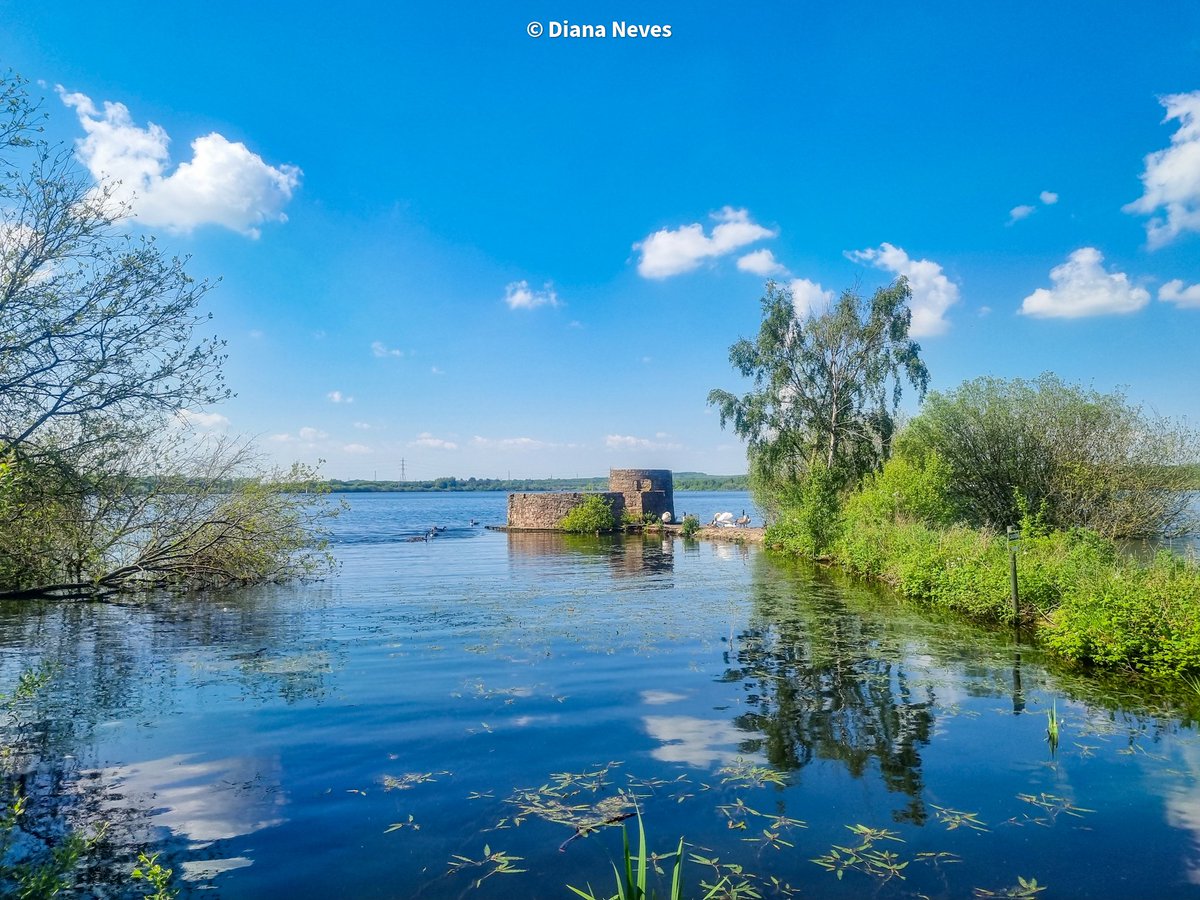 One more from yesterday's walk around Chasewater, Staffordshire 😊💙 Hope your Monday is going well! 🤗 @StormHour, @ThePhotoHour #loveukweather #photography #NatureWalk #photooftheday