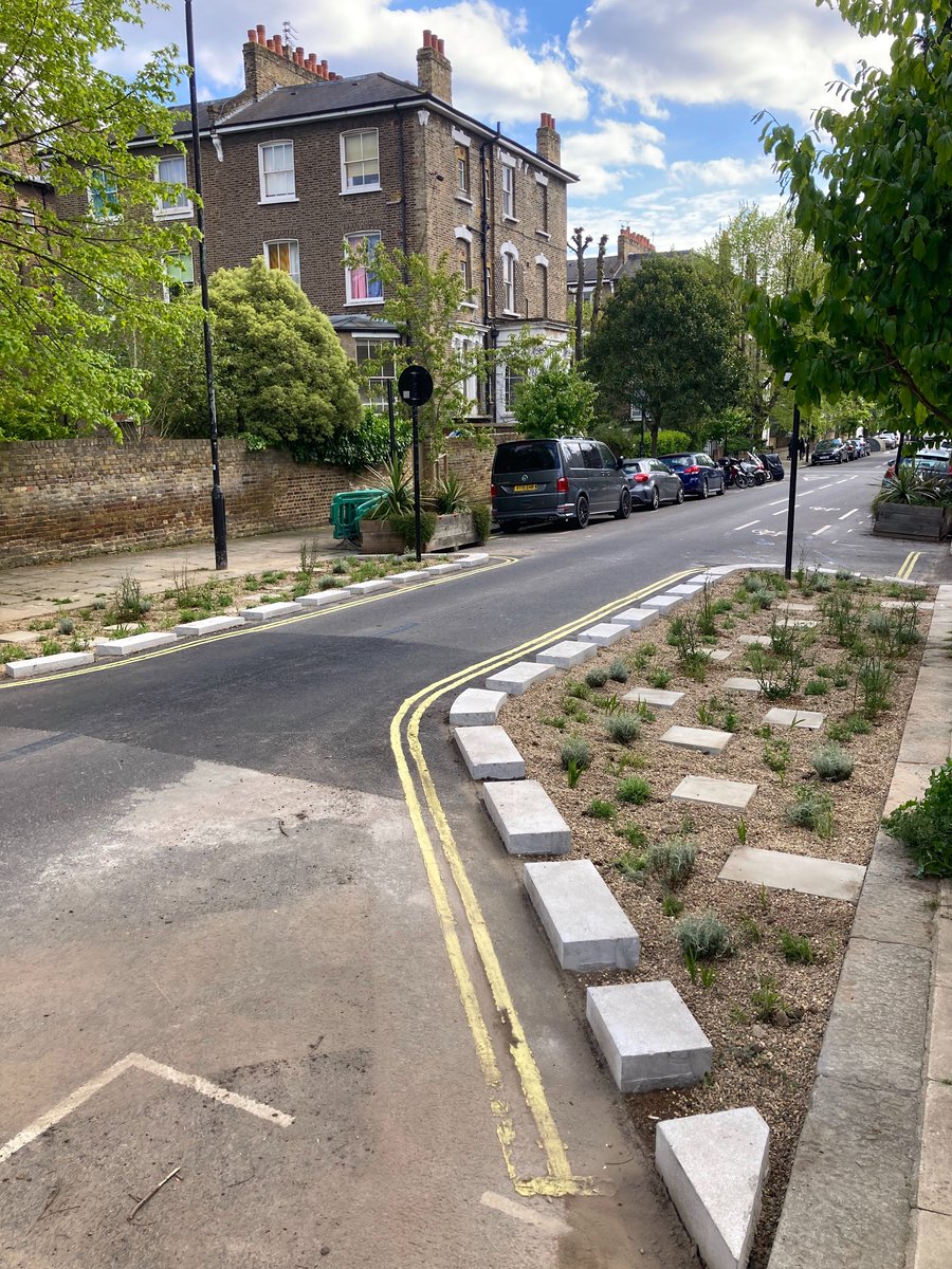 Meristem Design tweet media