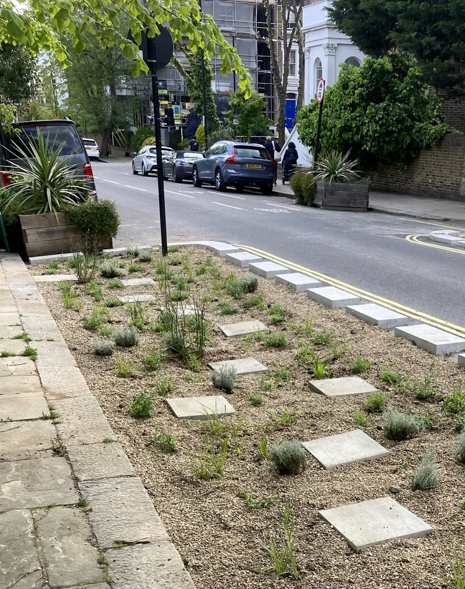 🌿💧Just finished planting 55m2 of #SuDS #RainGardens in <a href="/CamdenCouncil/">Camden Council</a>'s Healthy School Streets, with over 400 plants! 🌼 Stepping stones were added for play and engagement. 🪨

📍 Hammond St &amp; Islip St 

🌸 Our plant selection features a variety of resilient and attractive