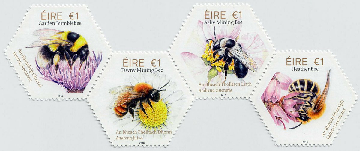 #WorldBeeDay is celebrated on 20 May! These lovely honeycomb-shaped stamps featuring four native Irish bees were issued by @Postvox in 2018 to bring awareness to the important role played by bees as pollinators doi.org/10.7486/DRI.02… #ExploreYourArchive #CuardaighDoChartlann