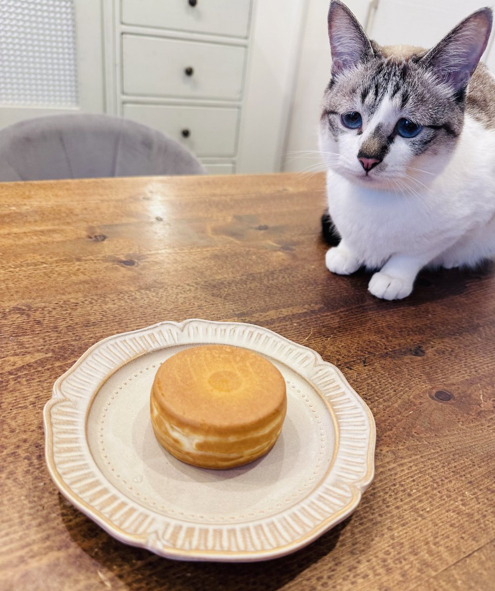 パン祭りのシール貼り方の件かなり反響が大きく論争が起きてしまい