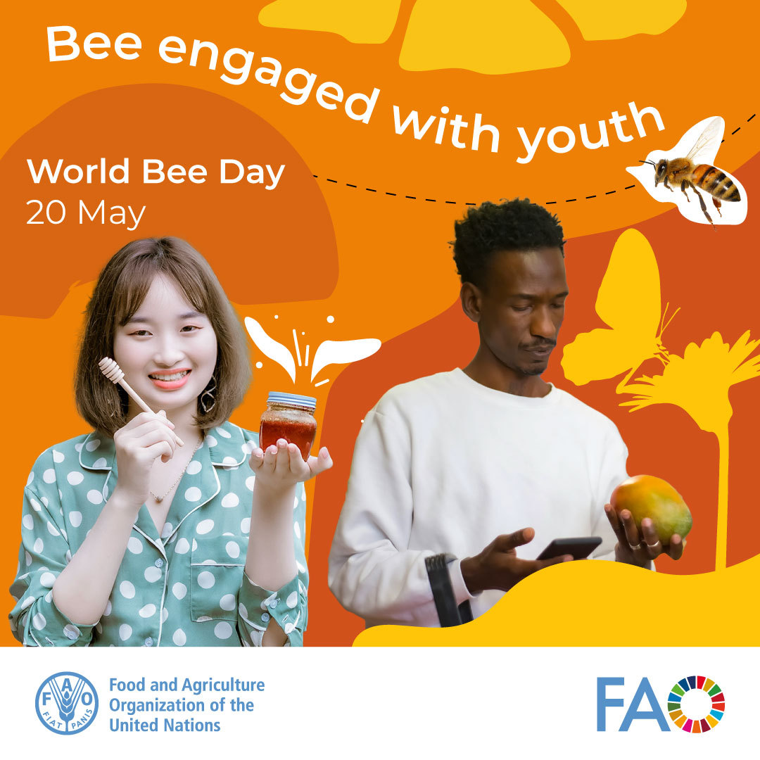 Celebrate #WorldBeeDay & help save our food supply! These tiny heroes need our help. Plant flowers, avoid pesticides & learn more: un.org/en/observances… #BeeEngagedWithYouth