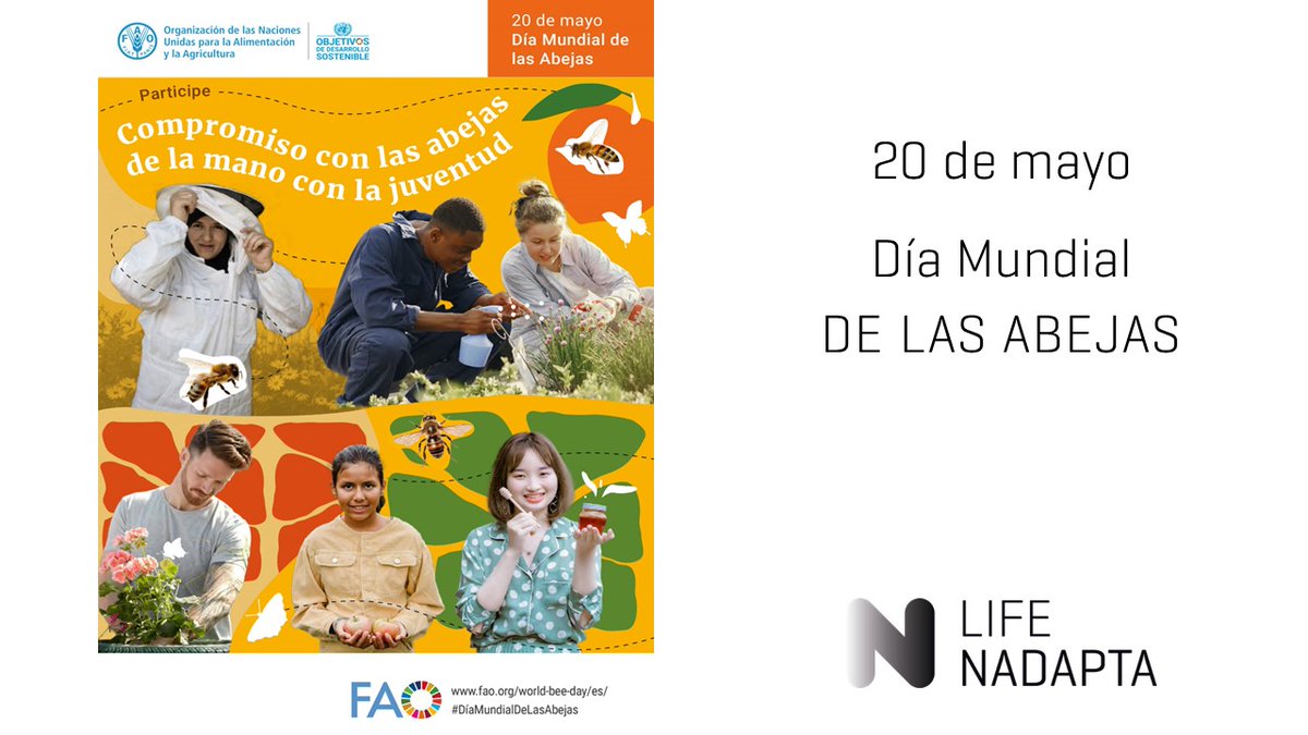 #LIFE_IP_NAdapta_CC se une a la celebración del #DíaMundialdelasAbejas 🐝

➡️ lifenadapta.navarra.es/es/-/dia-mundi…

#HCCN #KLINa #LIFEProgramme #LIFEproject #LIFEAmplifiers #LIFEAmplifier