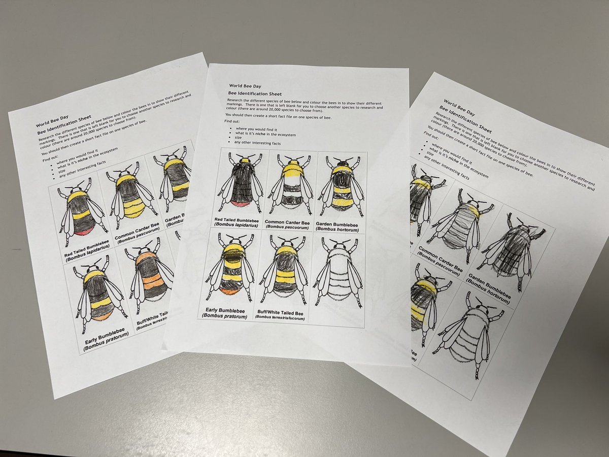 Kicking off #WorldBeeDay with S3 Connections this morning 🐝 we had fun learning about the role that bees have in maintaining biodiversity and how we can protect them. Keep your eyes peeled for a fact every day this week in the bulletin! #LearningTogether #ClimateAction 🐝