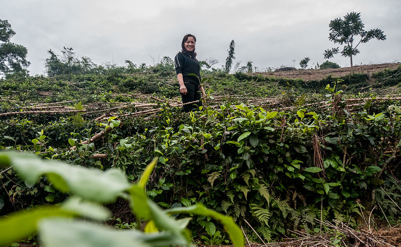 #Nowreading 📑 @CGIARgender working paper 1️⃣ 8️⃣ Read how we can advance the use of gender-transformative approaches in climate-resilient agriculture from the review of practical resources that could support researchers and practitioners 👉 on.cgiar.org/3x61sdD #GenderinAg