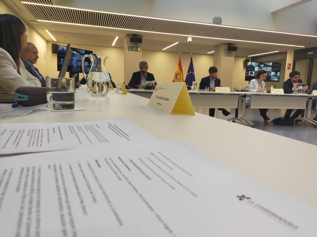 Hoy participamos se el Pleno de Consejo de Cooperación en el que se dictamina la propuesta del VI Plan Director de la Cooperación Española. #EsHoraDeCooperar