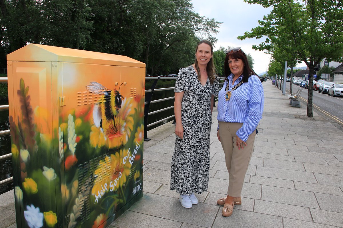 🐝As part of World Bee Day, we have has utilised the ‘Street Dreams’ project in partnership with Amplified Arts NI, to raise awareness of the importance of pollinators.🌸 This wonderful Bee art was painted by talented local artist H.M. Constance.🎨🖌️ tinyurl.com/v45vzyau