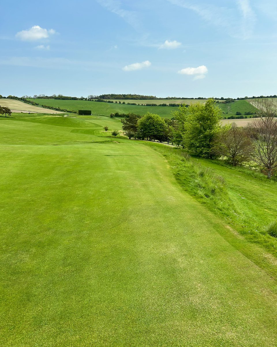 Collarless green @OgbourneDownsGC 👀 

#greenkeeping #greenkeeper #golf #golfcourse #agronomy #agronomylife #golfmaintenance