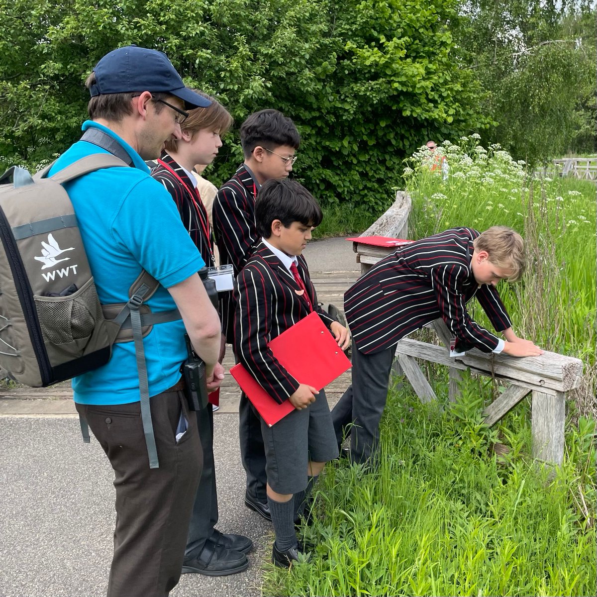 shrewsburyhouse's tweet photo. ๐ฟ After learning about the Wildfowl and Wetlands Trust, its founder Sir Peter Scott, and 'Lost Words' by Robert MacFarlane, our boys visited the WWT London Wetlands Centre. They chose a 'Lost Word' and a species to inspire poetry writing ๐ @WWTworldwide #DiscoveryProgramme https://t.co/nMV72BQdXJ