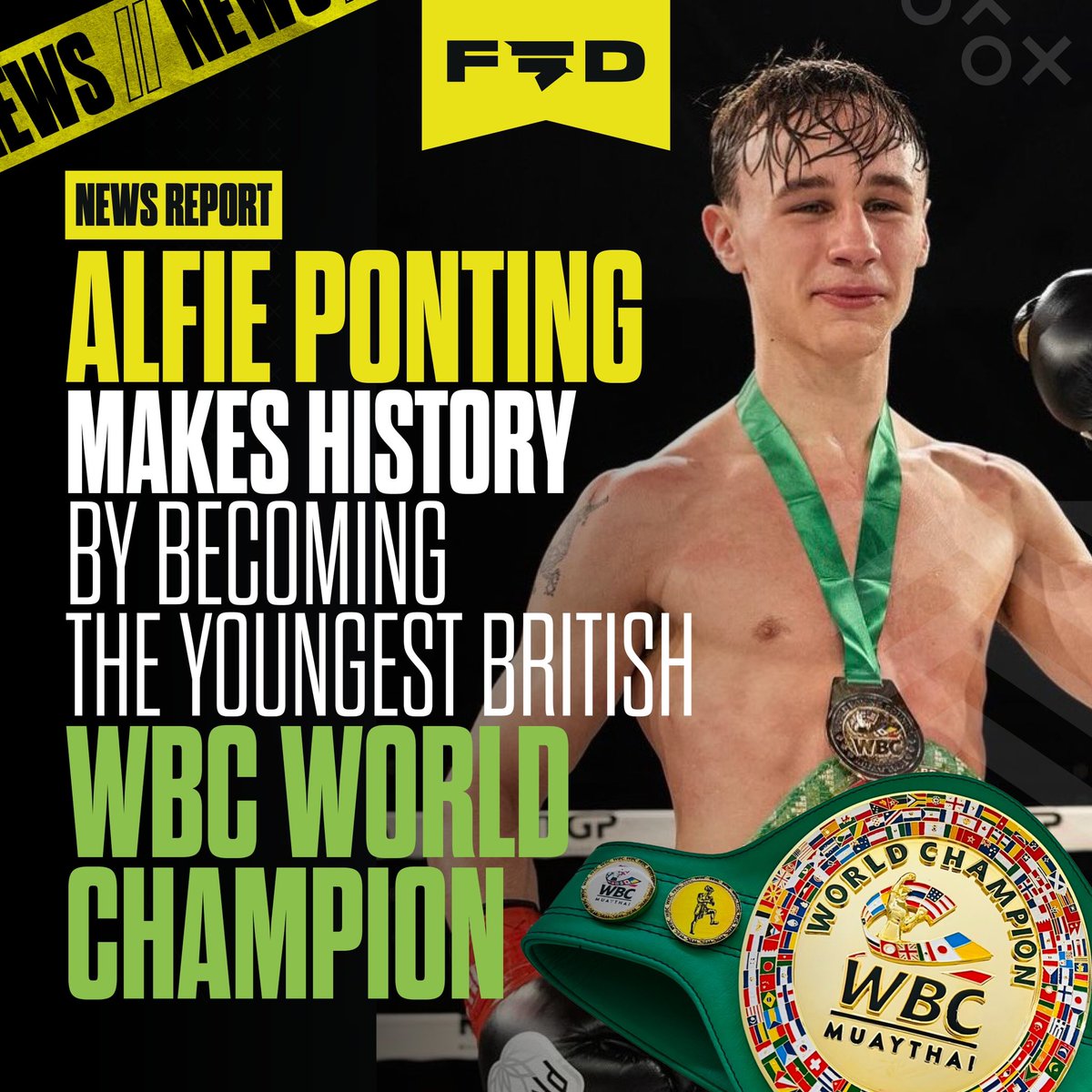 Fight Division tweet media