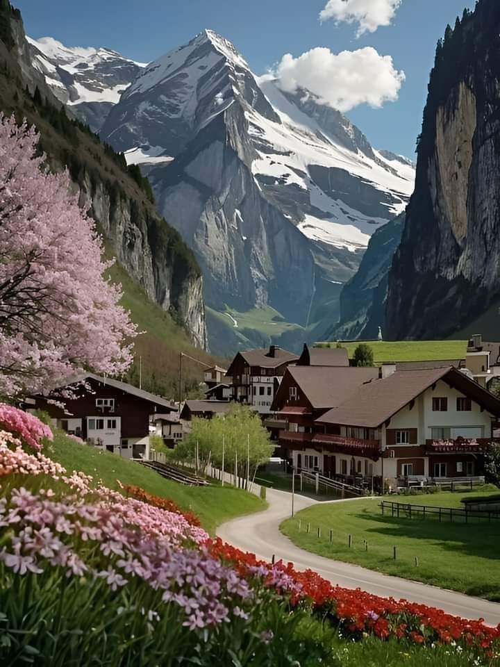 Have a nice day 💚🩷❤️

Switzerland🇨🇭