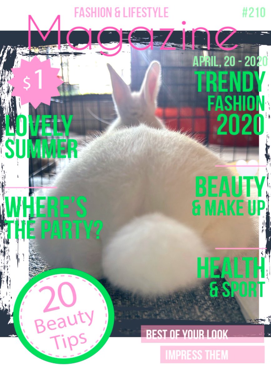 m_naruhiko's tweet photo. Buttocks Magazine 🤍#HAKU 🐇✨
#buttocks #rabbit #fakemagazine #DwarfHotot #ケツヨウビ #ウサギ https://t.co/85LKNuRC2n