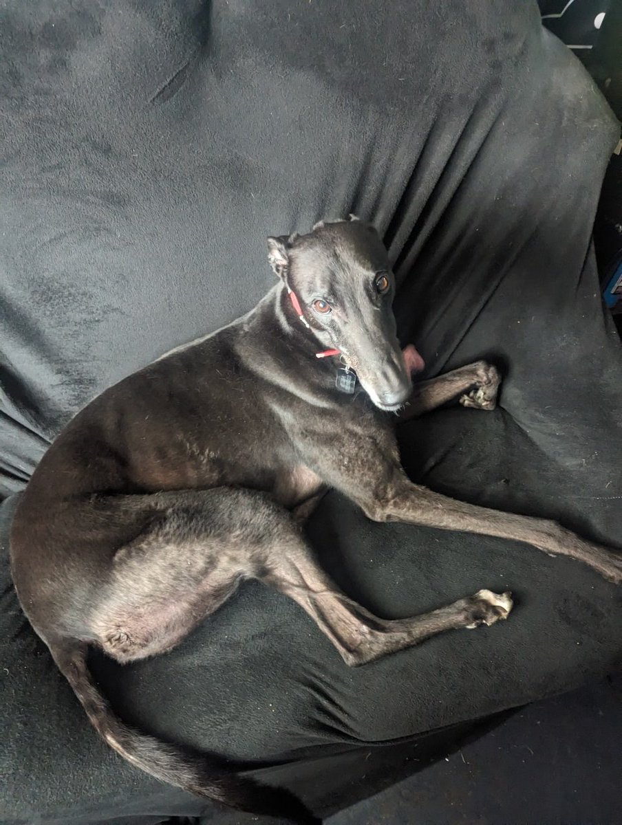 freaksquid5's tweet image. 