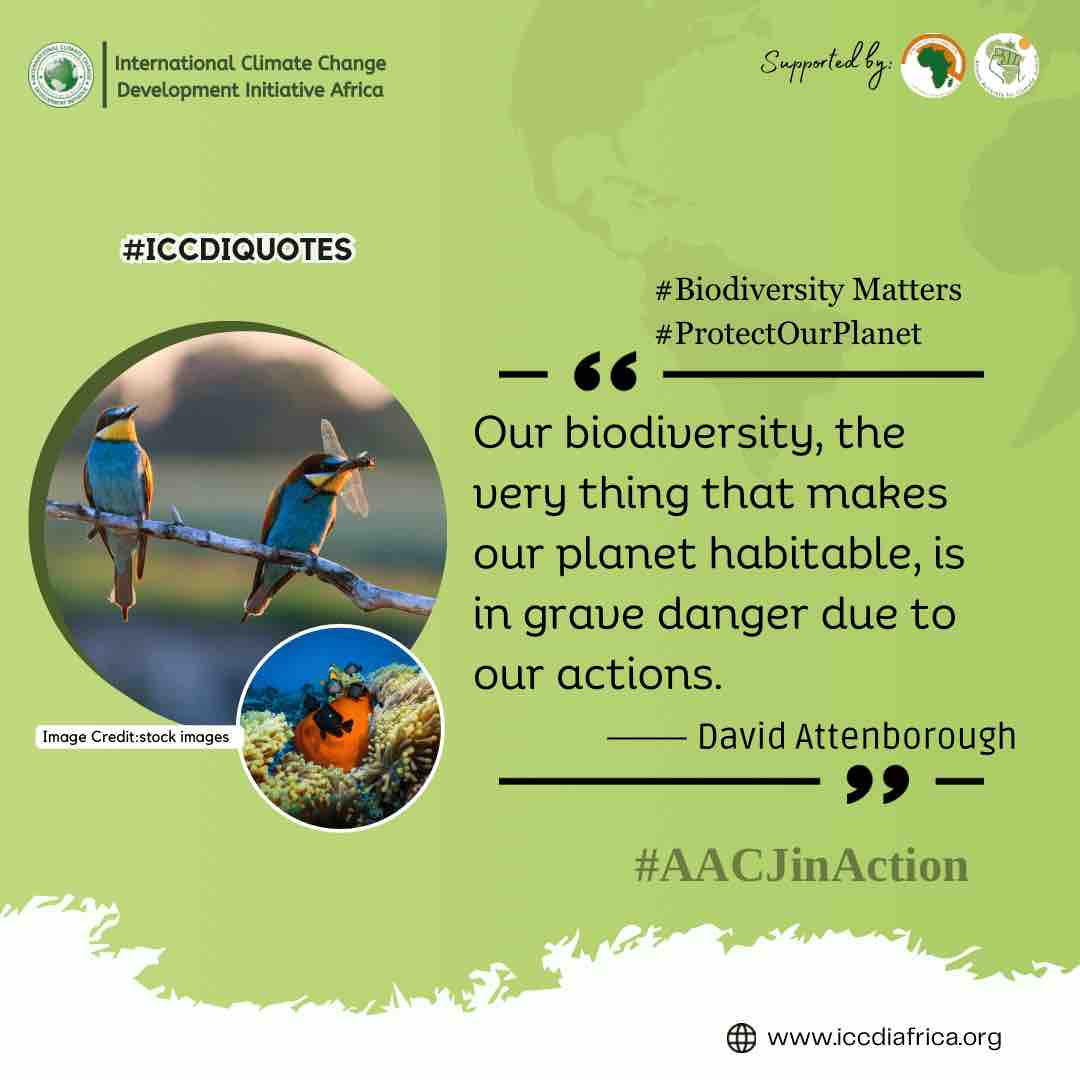 Our biodiversity, the very thing that makes our planet habitable, is in grave danger due to our actions.” – David Attenborough

#BiodiversityMatters #ProtectOurPlanet #AACJinAction