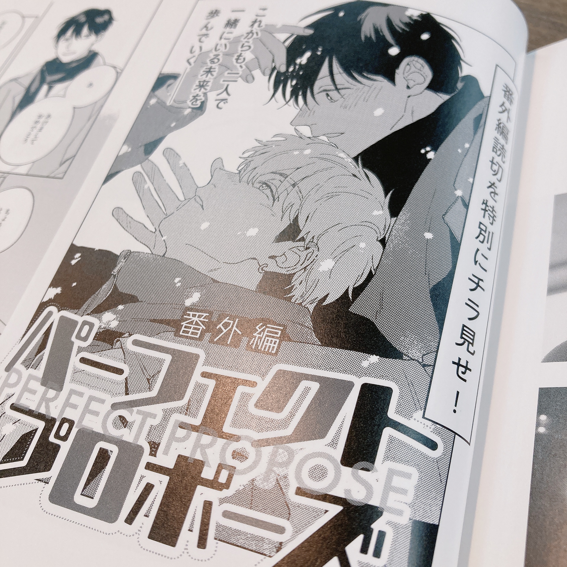 ドラマ「パーフェクトプロポーズ」公式ビジュアルブック