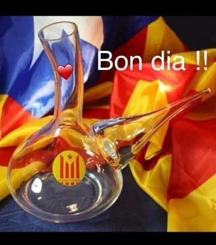 Bon dia companys i companyes de la lluita.
Bon dia catalans i catalanes que estimeu la vostra terra.
Visca Catalunya lliure i sobirana i sempre més Puta Espanya.
I que la pluja ens beneeixi a tots.
#Dui #lliridemerda #nioblitniperdó #putaEspanya #1Oct #RepublicaCatalana