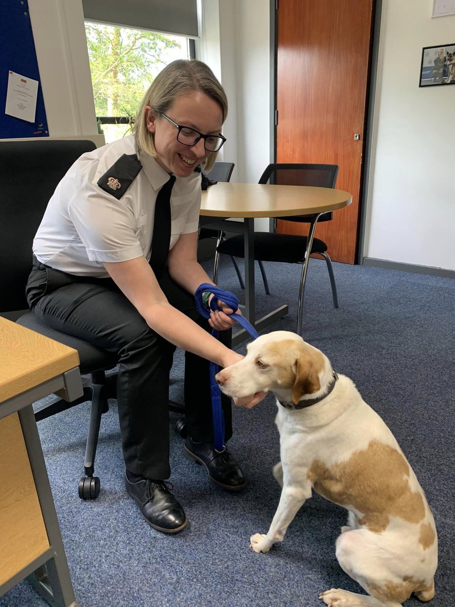 😁Fizzy Lemon had his first visit at Bognor Police Station and did a grand job at standing in for Teazel who was ill.

🐾To request a visit for yourself, click here:
canineconcern.co.uk/request-a-visi…

#canineconcern #therapydogs #workingdogs #caredogs #ukcharity