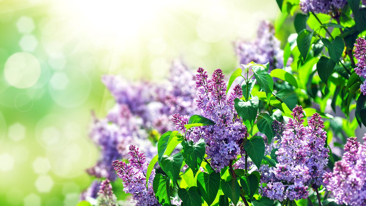 Sheffield Hallam University Multifaith Chaplaincy tweet media