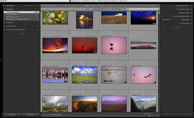 Curs de fotografia de natura al delta de l'Ebre.
picampall.cat/producto/curs-…