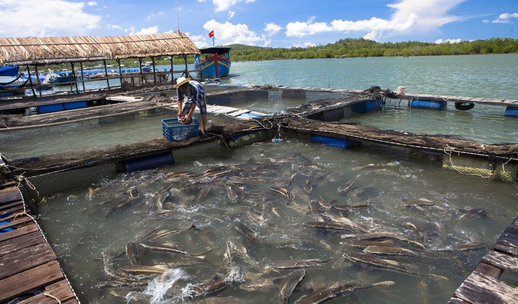 Image for the Tweet beginning: Our food system is broken,