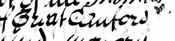 Readers of fuddly cursive! What are these words? Great Cauford looks obvious, but I cannot find any town that matches that name in Dorset (where it is said in the will to be). And Springstow? Again, nowhere matches. Halp!