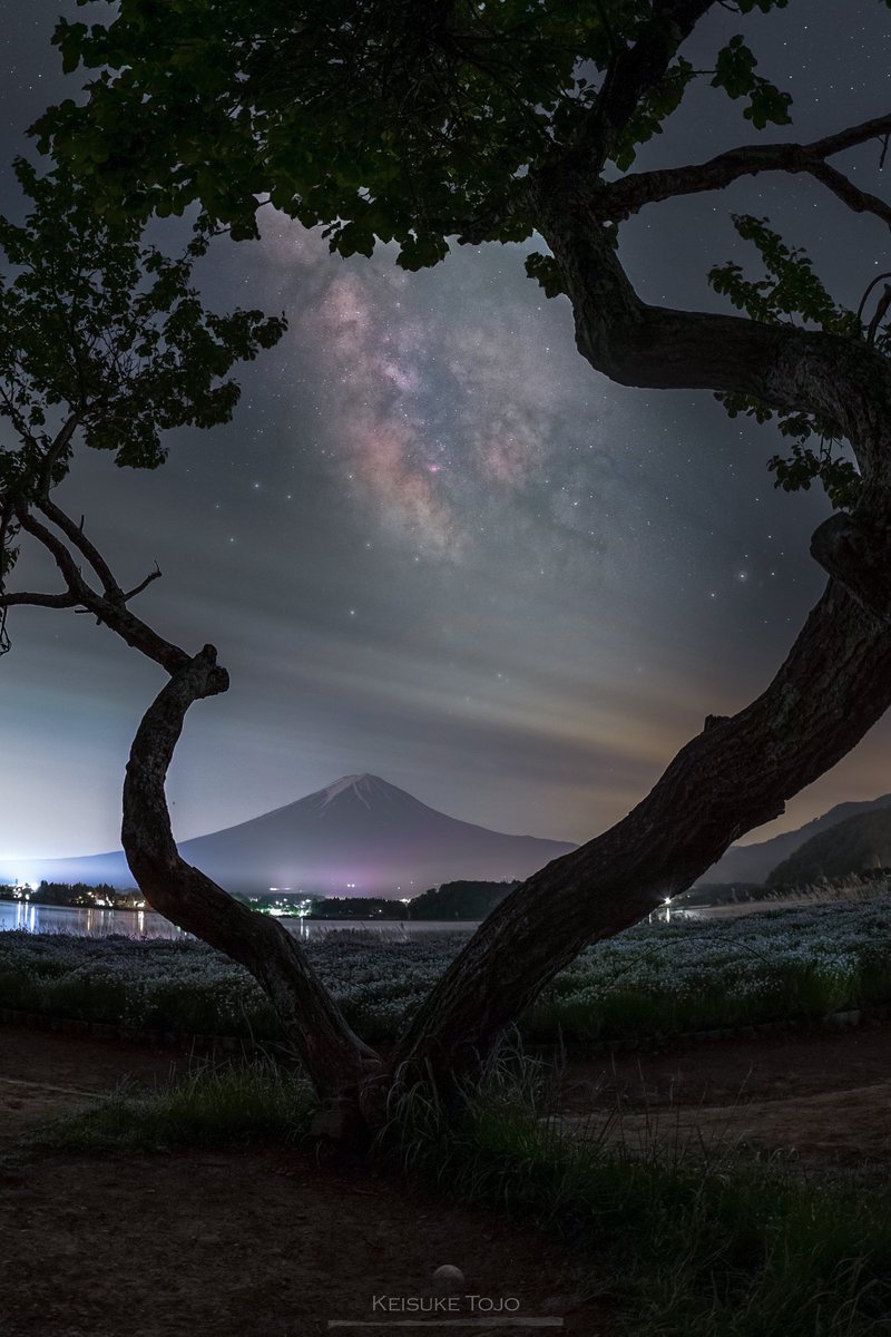 富士山と天の川を変わった形の木の額に入れてみました✨

#tokyocameraclub