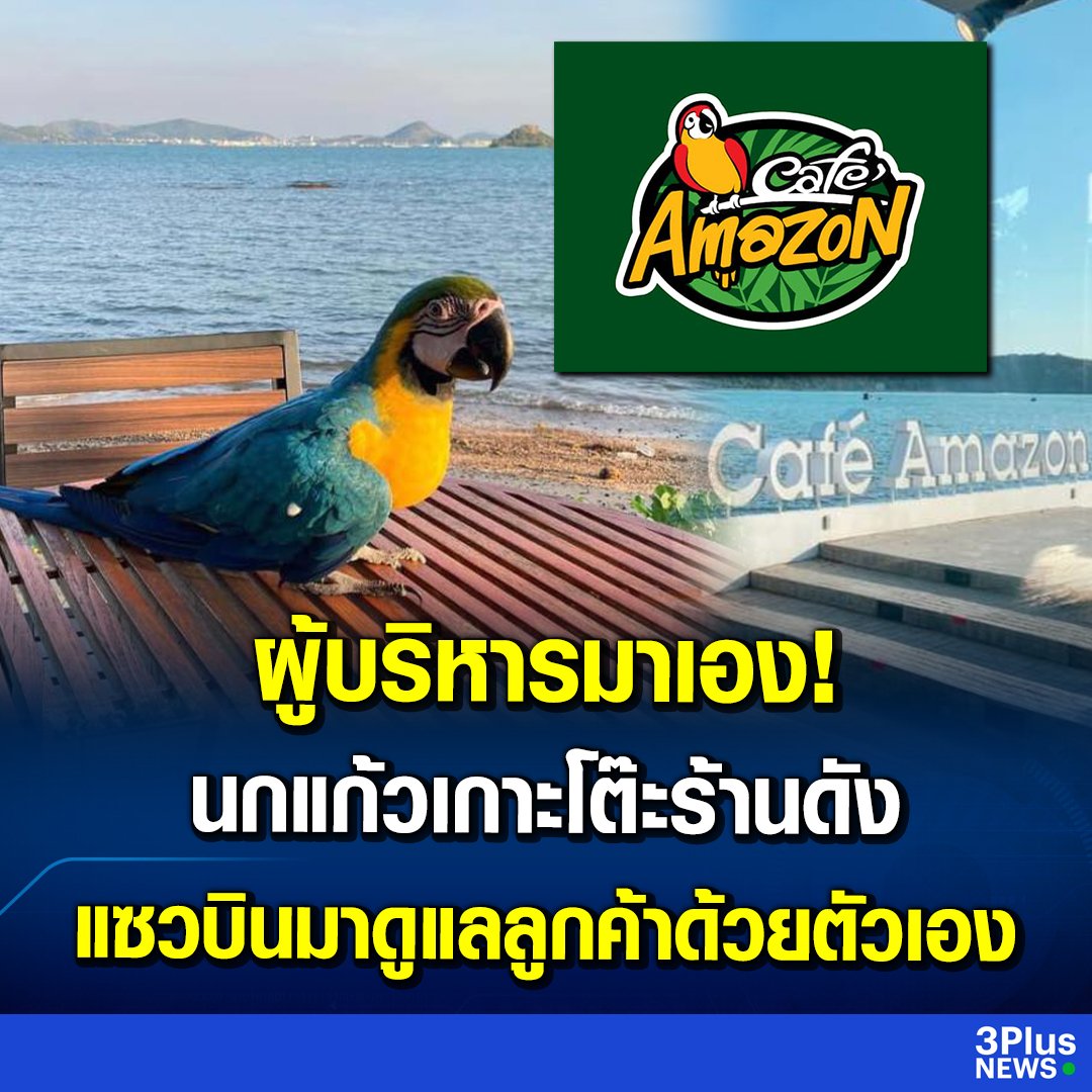 ผู้บริหารได้ยินมาว่ากาแฟแต่ละสาขารสชาติแตกต่างกัน ท่านจึงบินมาตรวจสอบร้านด้วยตัวเอง 55555555555