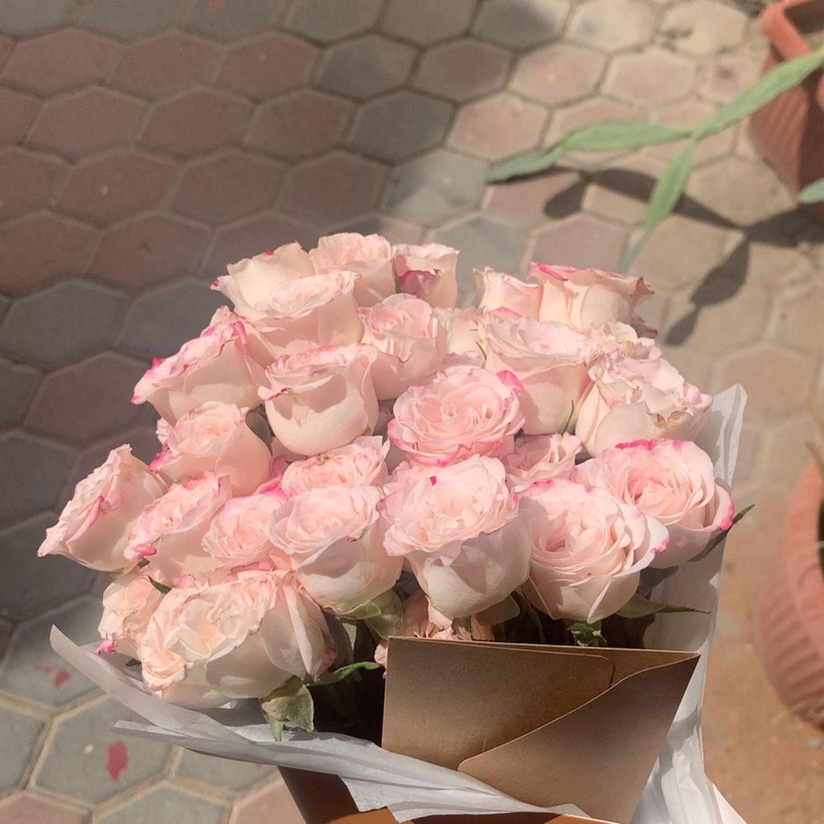 dctwt_cafe's tweet photo. — From: @dctwt_cafe admin 🧸!
— To: @dctwtflowershop admin!

❝ :3 ❞

- ꒰ 🧸 ꒱ https://t.co/sEtKANJq9k