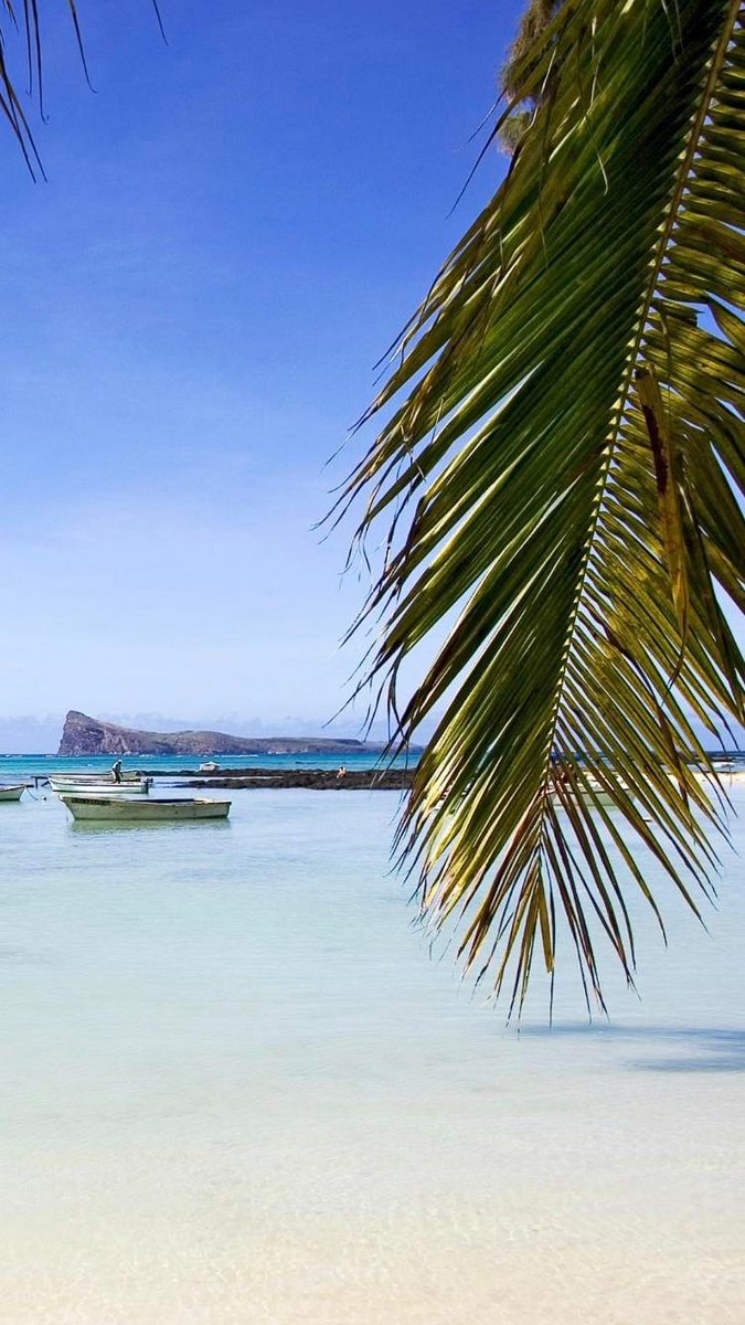 MauritiusGuide's tweet image. Monday in Mauritius 
Sun is shining
#MondayFun