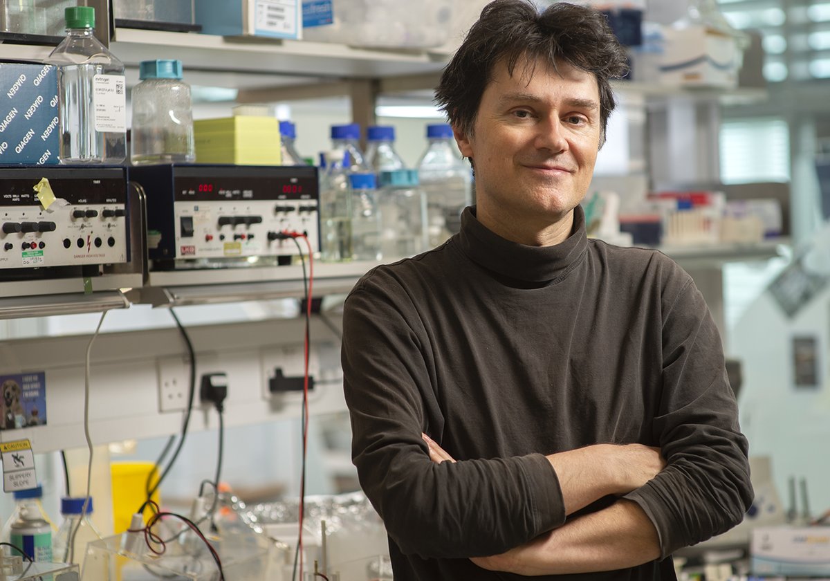 Congratulations to @PhilHolliger - newly appointed Joint Head of the LMB’s PNAC Division, alongside Jason Chin.
An LMB Group Leader since 2005, Phil’s research focuses on chemical biology, synthetic biology and in vitro evolution.
Read more: www2.mrc-lmb.cam.ac.uk/phil-holliger-…
#LMBNews