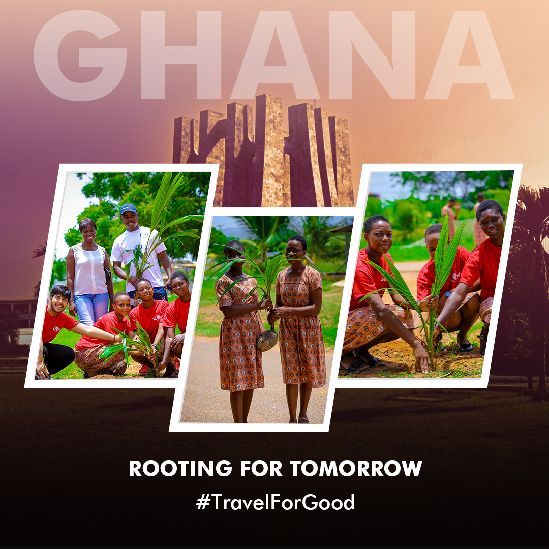Travelwings.com tweet media