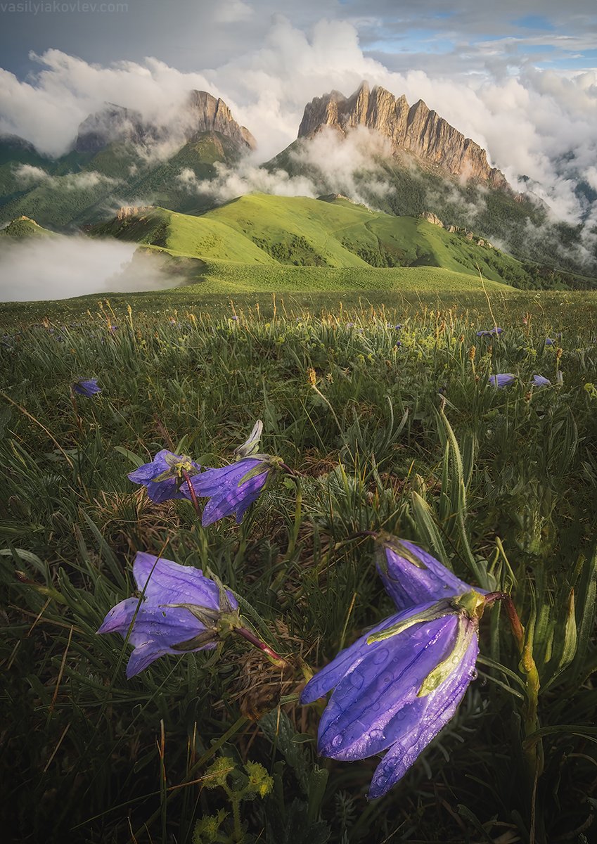 Good morning! (Big Thach, Adigeya, Russia)