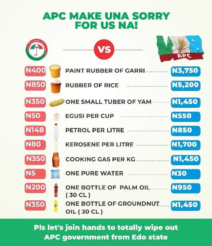ChidumSuccess's tweet photo. Dear Edolites don’t make the mistake of voting APC in the September 21 Gubernatorial election because anything APC touches crumbles. Let’s vote for Asue Ighodalo and PDP for Governor https://t.co/nPuI58QAGU