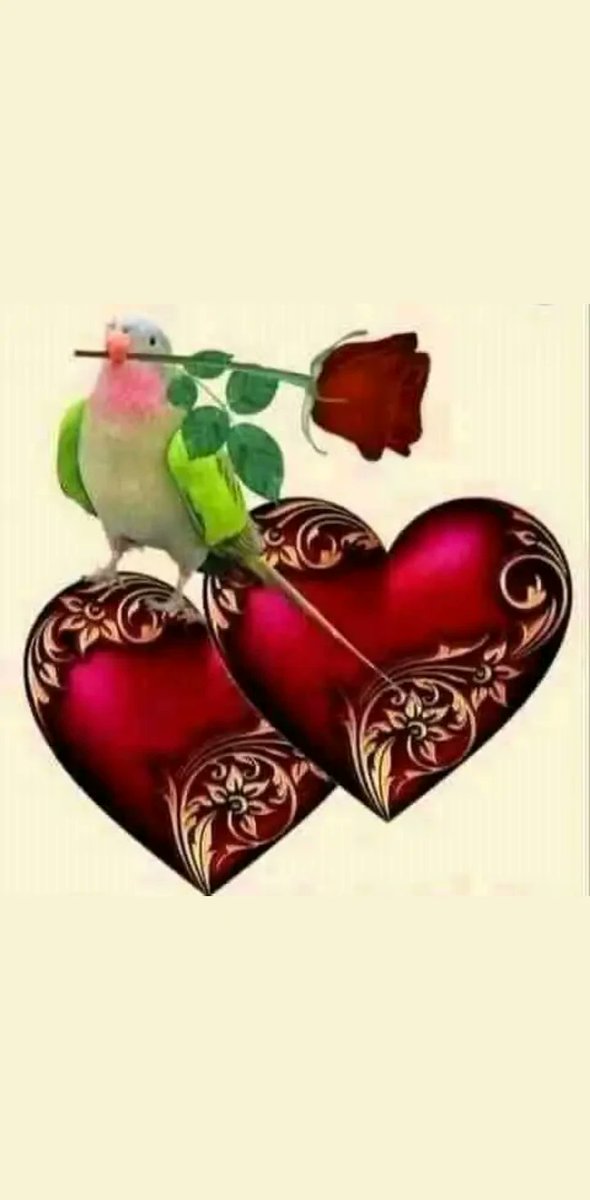 afghanghg's tweet photo. https://t.co/v4AFVAU3Po
