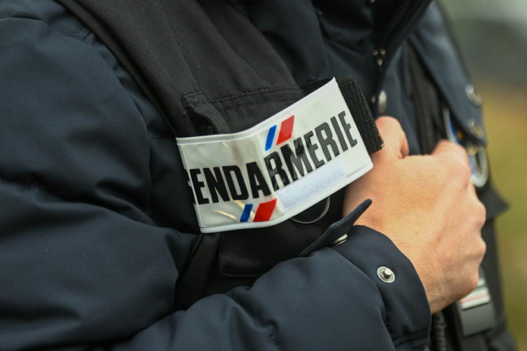 Les gendarmes mettent fin à un rassemblement musical non autorisé en #HauteVienne lepopulaire.fr/meyze-87800/ac…