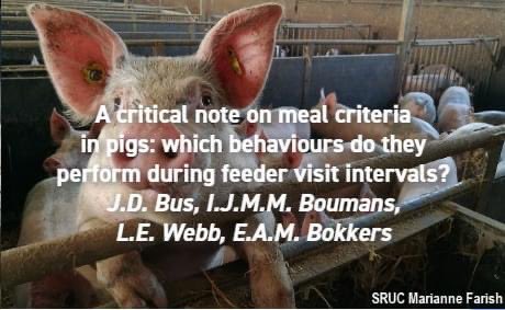 appliedethology's tweet photo. #NewResearchAlert
"A critical note on meal criteria in pigs: Which behaviours do they perform during feeder visit intervals?" By Bus et al.
Get the full paper here: https://t.co/QasKMdnnh3
#feedingbehaviour #pigbehaviour #pigwelfare https://t.co/Mt4VEYciGm