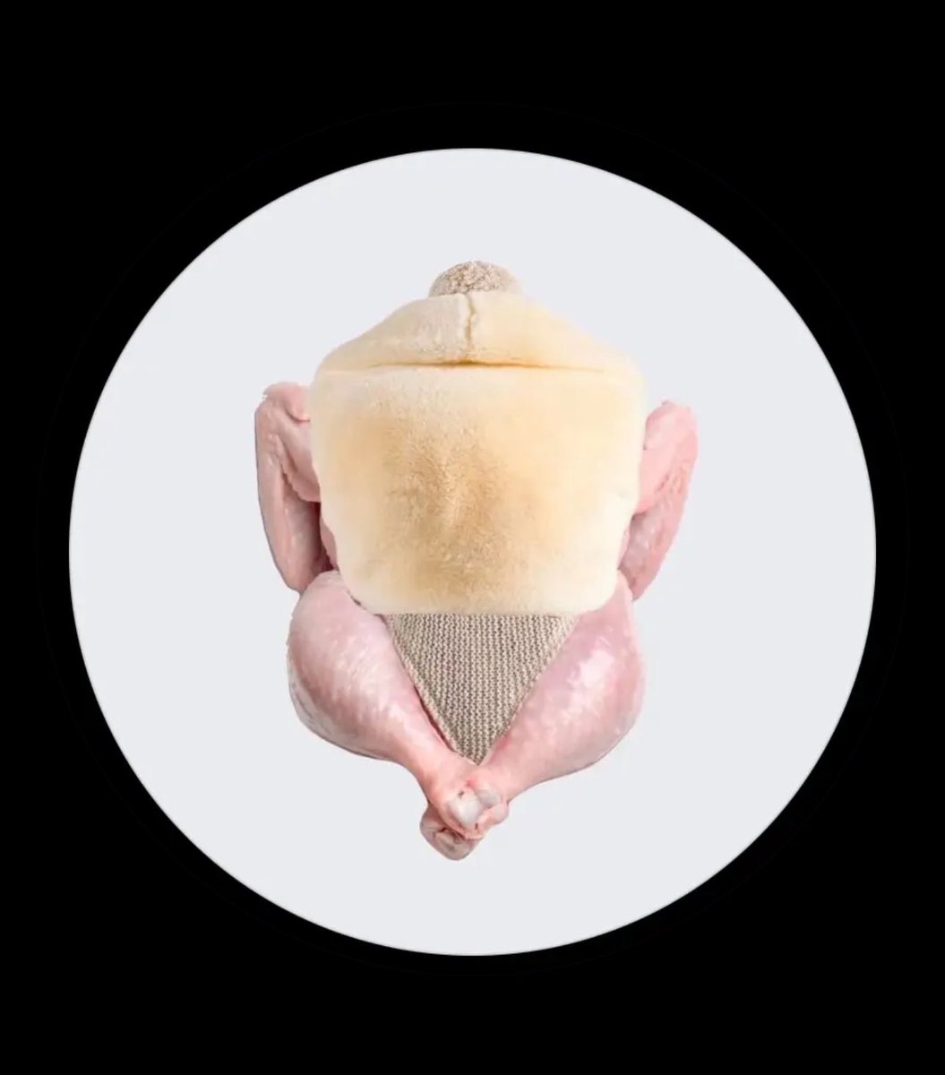 YALL LOOK AT WHAT I FOUND ON TIKTOK