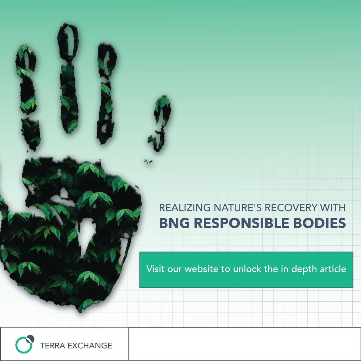 TerraExchange_'s tweet photo. 🔍🌳 Curious about responsible bodies and their work towards a greener planet? Our new article has the answers you've been looking for. Check it out now! 

https://t.co/tXu8OiQtHw

#ResponsibleBodies #EnvironmentalStewardship https://t.co/jcguLEtqNG