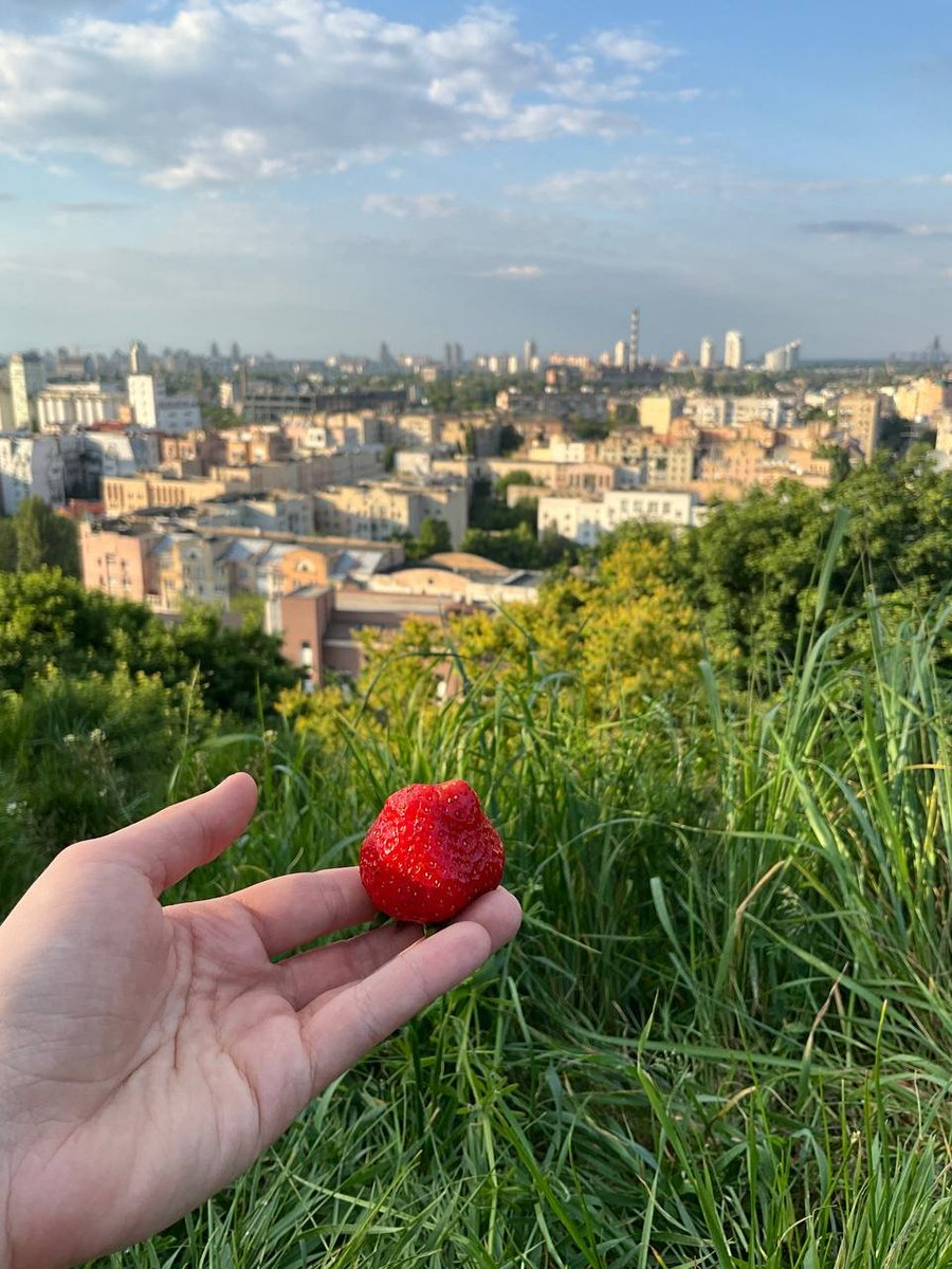 ggaa_bo's tweet photo. Інколи для щастя потрібно просто з'їсти полуницю і подивитись вдалину https://t.co/FMC102LP7K