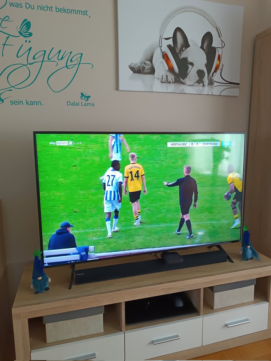 Headgl1tchson's tweet image. Bin dabei 🤟#BSCBVB

Kann aber @RobTigerius nicht hören 👂