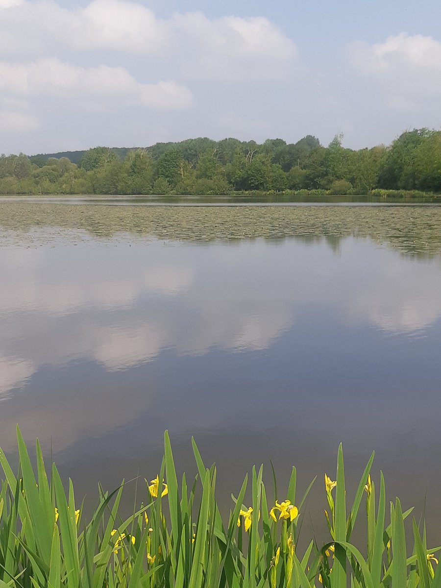 Le Perche en Eure-et-Loir🌳 📍Entre Le Mans et Chartres. #MagnifiqueFrance