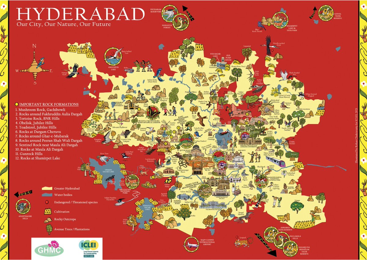 Hyderabad's score on City Biodiversity Index improved significantly, marking a 58% increase Apart from humans, Hamara #Hyderabad is home to - 315 bird species, including the Indian Peafowl, Black-headed Ibis, Bar-headed Goose, and GreaterFlamingo. 1,665 Plant species,with