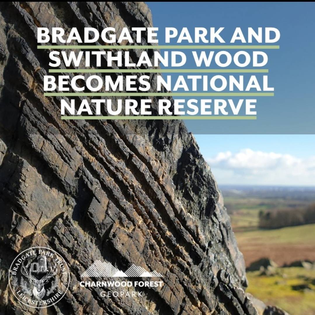 They are two of our treasures and now, Bradgate Park & Swithland Wood, which contain some of the oldest rocks and fossils in England, have been given National Nature Reserve Status by @naturalengland, boosting conservation efforts in the area. @visitenglandbiz #naturereserve