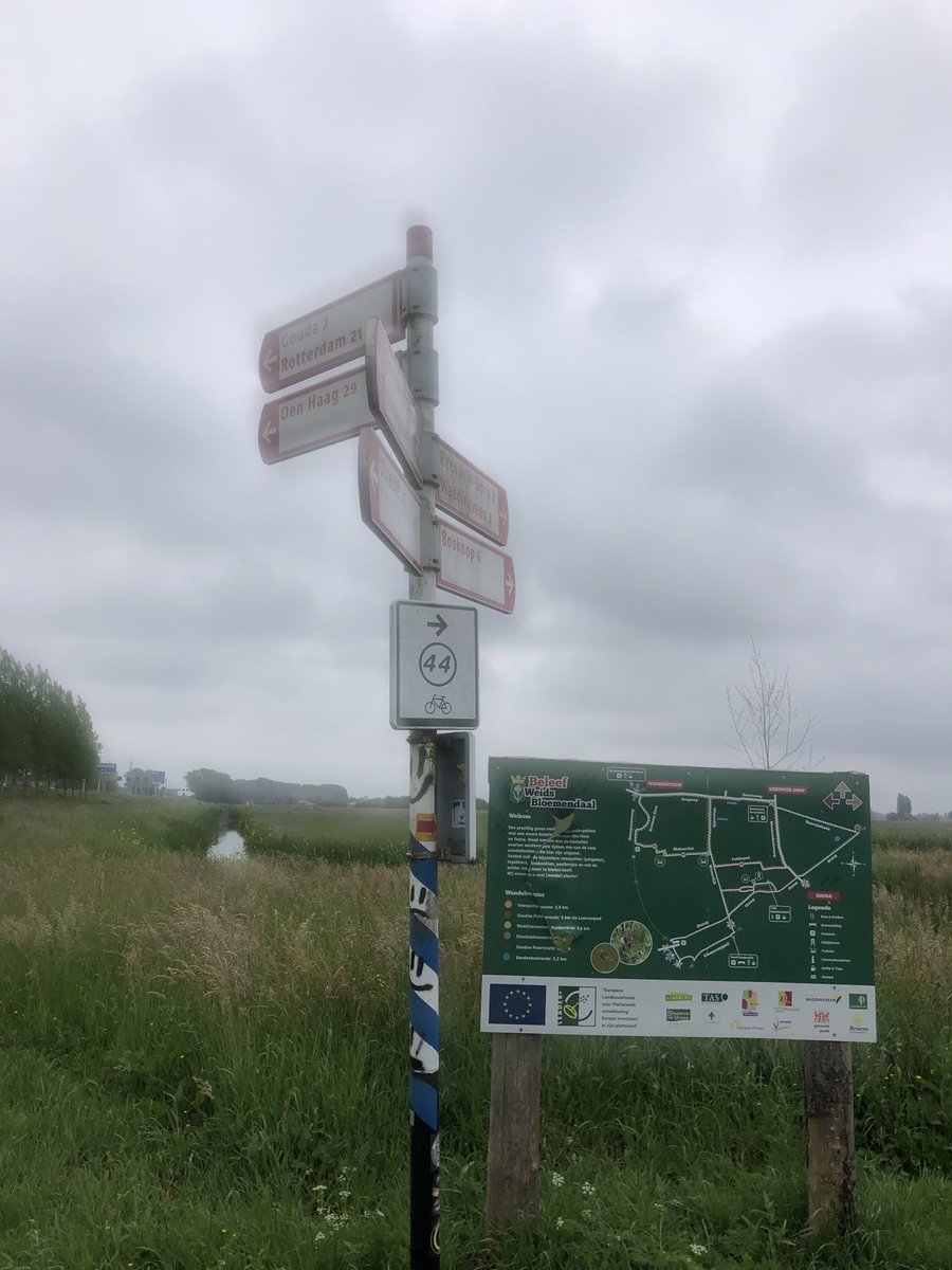 Miri 🇮🇱 tweet media