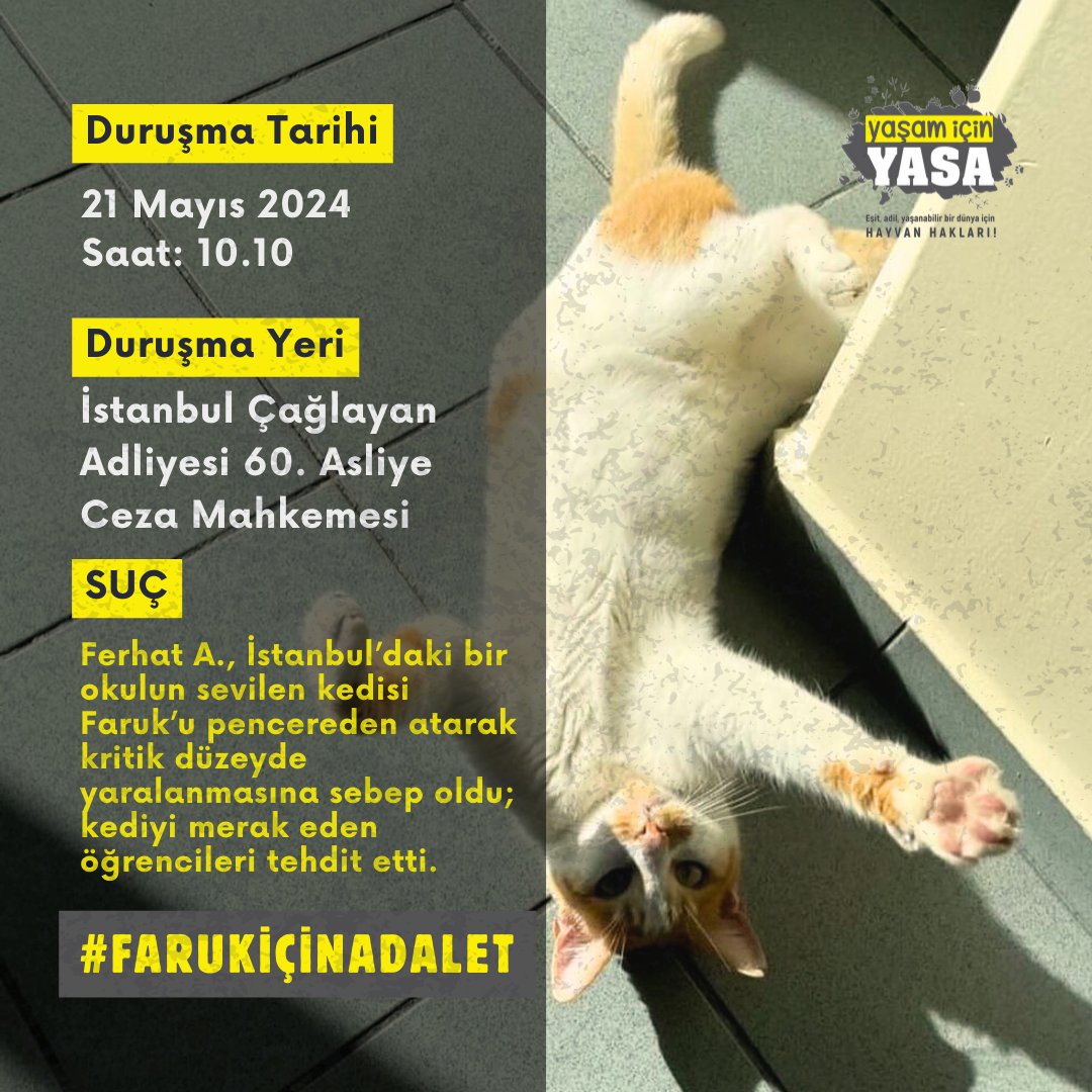 📅 Yarın, 21 Mayıs'ta İstanbul'da iki önemli duruşma var. Biri Çağlayan Adliyesi'nde, diğeri Anadolu Adliyesi'nde. #FarukİçinAdalet ile #SinanDoğanTutuklansın çağrılarıyla gündeme gelen bu iki davada da #ErosİçinAdalet sürecinde olduğu gibi hayvan hakları savunucuları olarak;