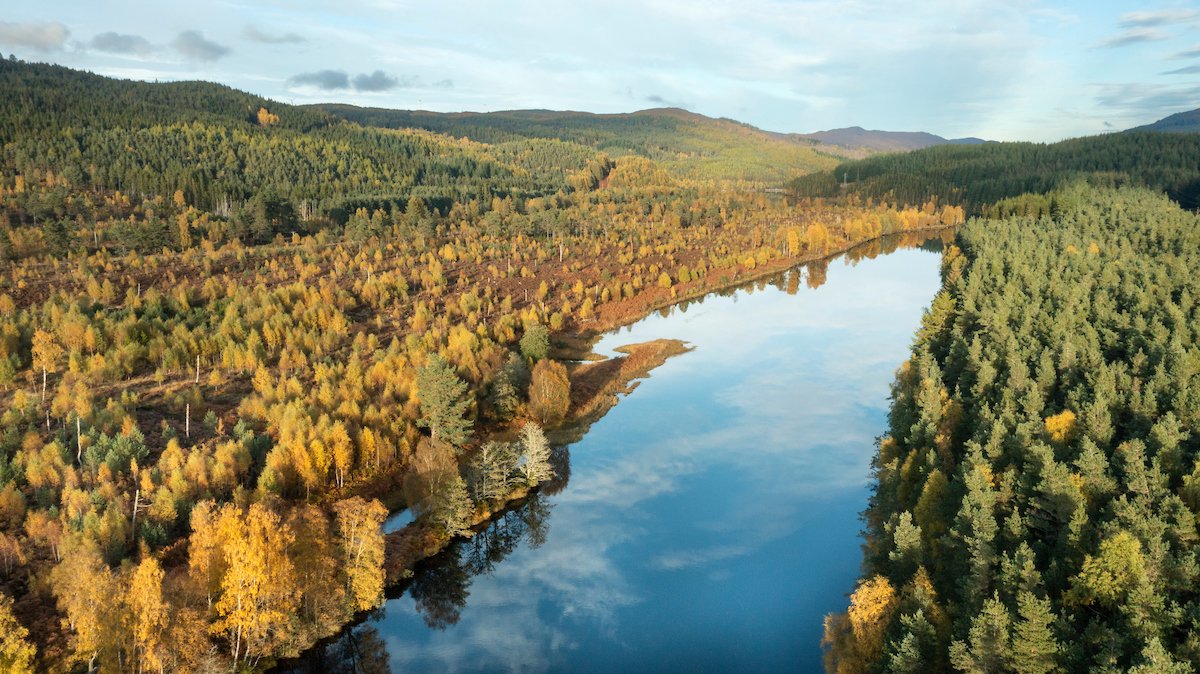 SCOTLAND: The Big Picture (@scotlandtbp) on Twitter photo Last few places available on our brand new Great Glen Explorer #RewildingExperience! Immerse yourself in the spectacular landscapes of the Great Glen and discover rewilding, including at <a href="/VisitDundreggan/">Dundreggan Rewilding Centre</a> and <a href="/ArkaigForest/">Arkaig Community Forest</a>. More details here: scotlandbigpicture.com/retreat/great-… Last few places available on our brand new Great Glen Explorer #RewildingExperience! Immerse yourself in the spectacular landscapes of the Great Glen and discover rewilding, including at <a href="/VisitDundreggan/">Dundreggan Rewilding Centre</a> and <a href="/ArkaigForest/">Arkaig Community Forest</a>. More details here: scotlandbigpicture.com/retreat/great-…