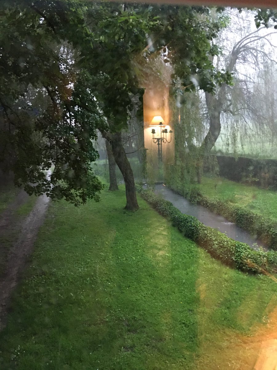 Pendant 1/2 heure, tout s’est obscurci… le vent s’est mis à souffler, il pleut fort, il pleut dru
Fermons la fenêtre.
Éclairs et tonnerre.
Il est un peu plus de 16h😞

#BourgogneFrancheComté #Yonne