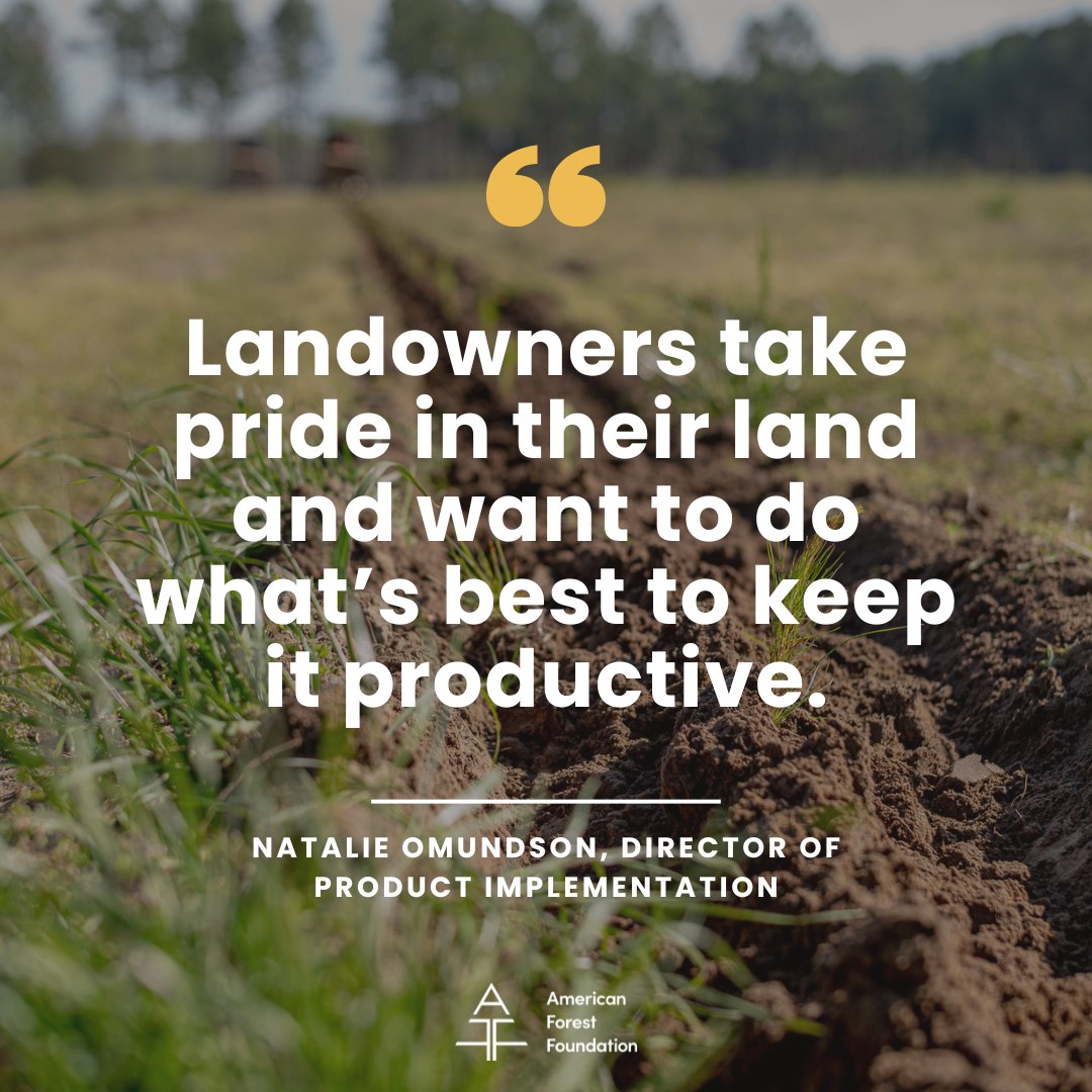 “Landowners take pride in their land and want to do what’s best to keep it productive,” says Natalie Omundson, Director of Product Implementation at AFF. Learn how you can support GA landowners growing pines and storing carbon: familyforestcarbon.org/ffcp-newslette…