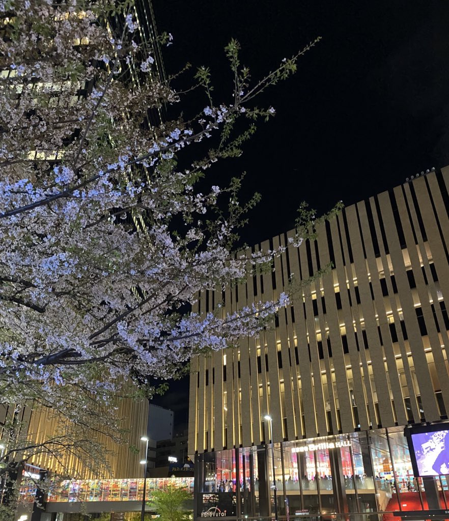 ちゃみ👻 tweet media